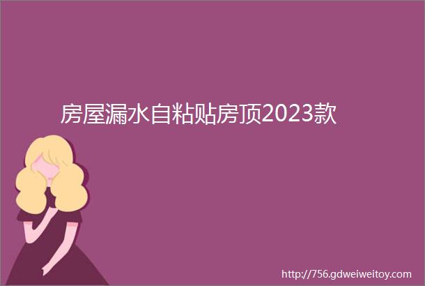 房屋漏水自粘贴房顶2023款