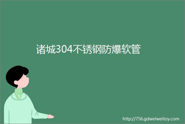 诸城304不锈钢防爆软管