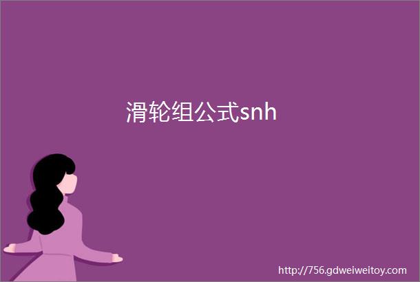 滑轮组公式snh