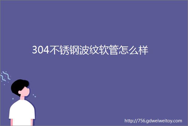 304不锈钢波纹软管怎么样