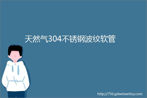 天然气304不锈钢波纹软管