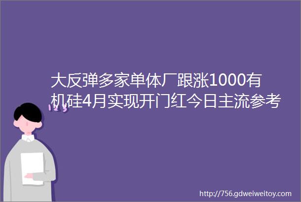 大反弹多家单体厂跟涨1000有机硅4月实现开门红今日主流参考价